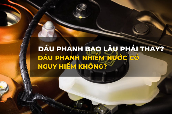 Dầu phanh ô tô bao lâu phải thay? Dầu phanh nhiễm nước có nguy hiểm không?
